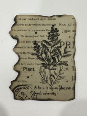 6cm x 4.5cm - Vintage Botanical Ephemera Sticker