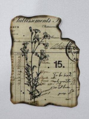 6cm x 4.5cm - Vintage Botanical Ephemera Sticker