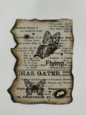 6cm x 4.5cm - Vintage Botanical Ephemera Sticker