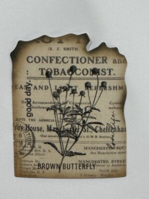 6cm x 4.5cm - Vintage Botanical Ephemera Sticker