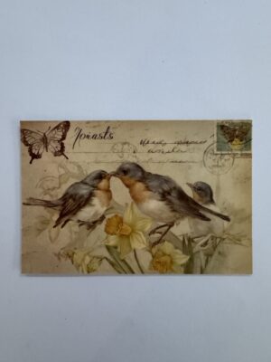 14.5cm x 10cm Post Card - Vintage Style Bird Botanical