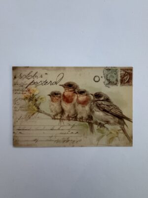 14.5cm x 10cm Post Card - Vintage Style Bird Botanical
