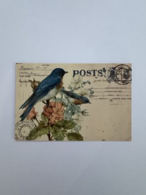 14.5cm x 10cm Post Card - Vintage Style Bird Botanical