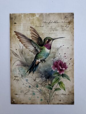 14.5cm x 10cm Post Card - Vintage Hummingbird Botanical Art Print