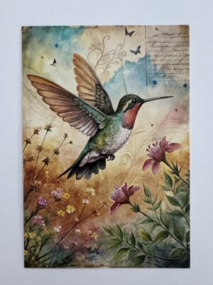 14.5cm x 10cm Post Card - Vintage Hummingbird Botanical Art Print