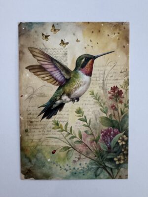 14.5cm x 10cm Post Card - Vintage Hummingbird Botanical Art Print