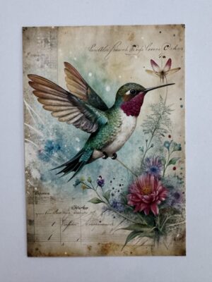14.5cm x 10cm Post Card - Vintage Hummingbird Botanical Art Print