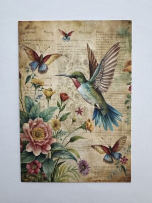 14.5cm x 10cm Post Card - Vintage Hummingbird Botanical Art Print