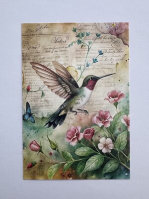 14.5cm x 10cm Post Card - Vintage Hummingbird Botanical Art Print