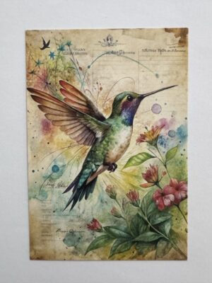 14.5cm x 10cm Post Card - Vintage Hummingbird Botanical Art Print
