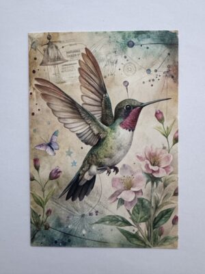 14.5cm x 10cm Post Card - Vintage Hummingbird Botanical Art Print