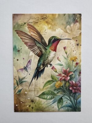 14.5cm x 10cm Post Card - Vintage Hummingbird Botanical Art Print
