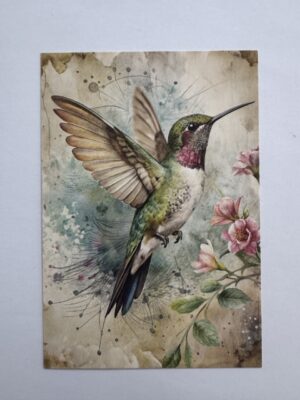14.5cm x 10cm Post Card - Vintage Hummingbird Botanical Art Print