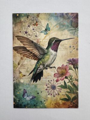 14.5cm x 10cm Post Card - Vintage Hummingbird Botanical Art Print