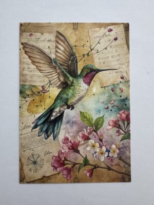 14.5cm x 10cm Post Card - Vintage Hummingbird Botanical Art Print