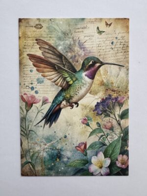 14.5cm x 10cm Post Card - Vintage Hummingbird Botanical Art Print