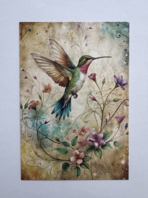 14.5cm x 10cm Post Card - Vintage Hummingbird Botanical Art Print