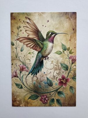 14.5cm x 10cm Post Card - Vintage Hummingbird Botanical Art Print