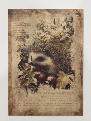 20cm x 14cm - A5 Vintage Woodland Forest Craft Papers - Hedgehog