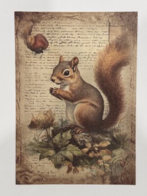 20cm x 14cm - A5 Vintage Woodland Forest Craft Papers - Squirrel