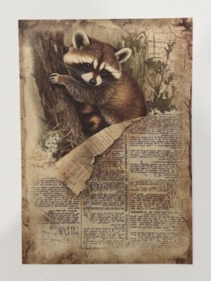 20cm x 14cm - A5 Vintage Woodland Forest Craft Papers - Racoon
