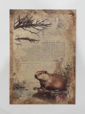 20cm x 14cm - A5 Vintage Woodland Forest Craft Papers - Beaver