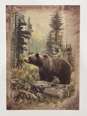 20cm x 14cm - A5 Vintage Woodland Forest Craft Papers - Bear