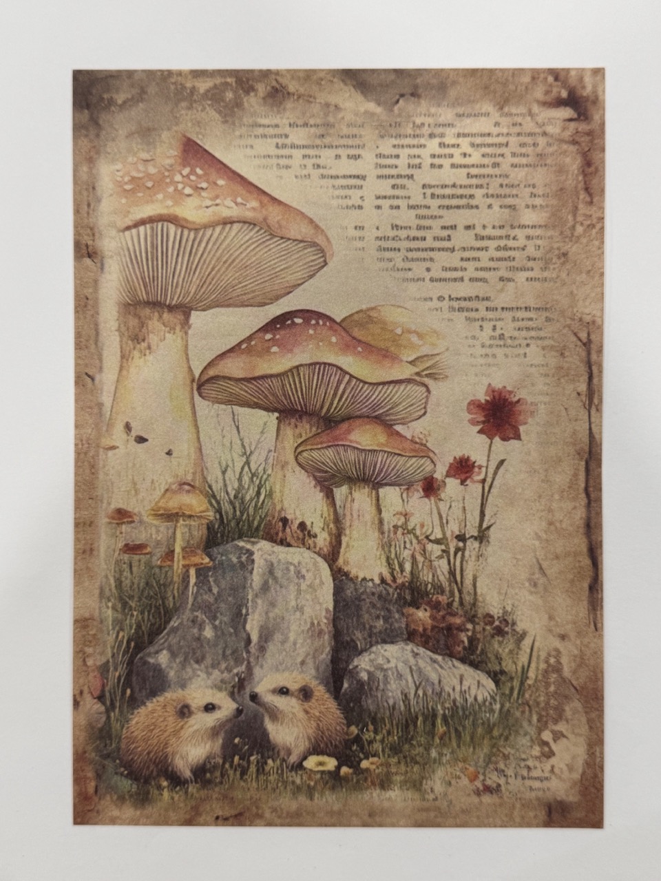 20cm x 14cm - A5 Vintage Woodland Forest Craft Papers