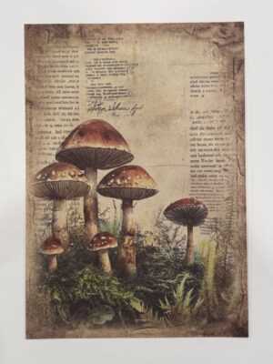20cm x 14cm - A5 Vintage Woodland Forest Craft Papers