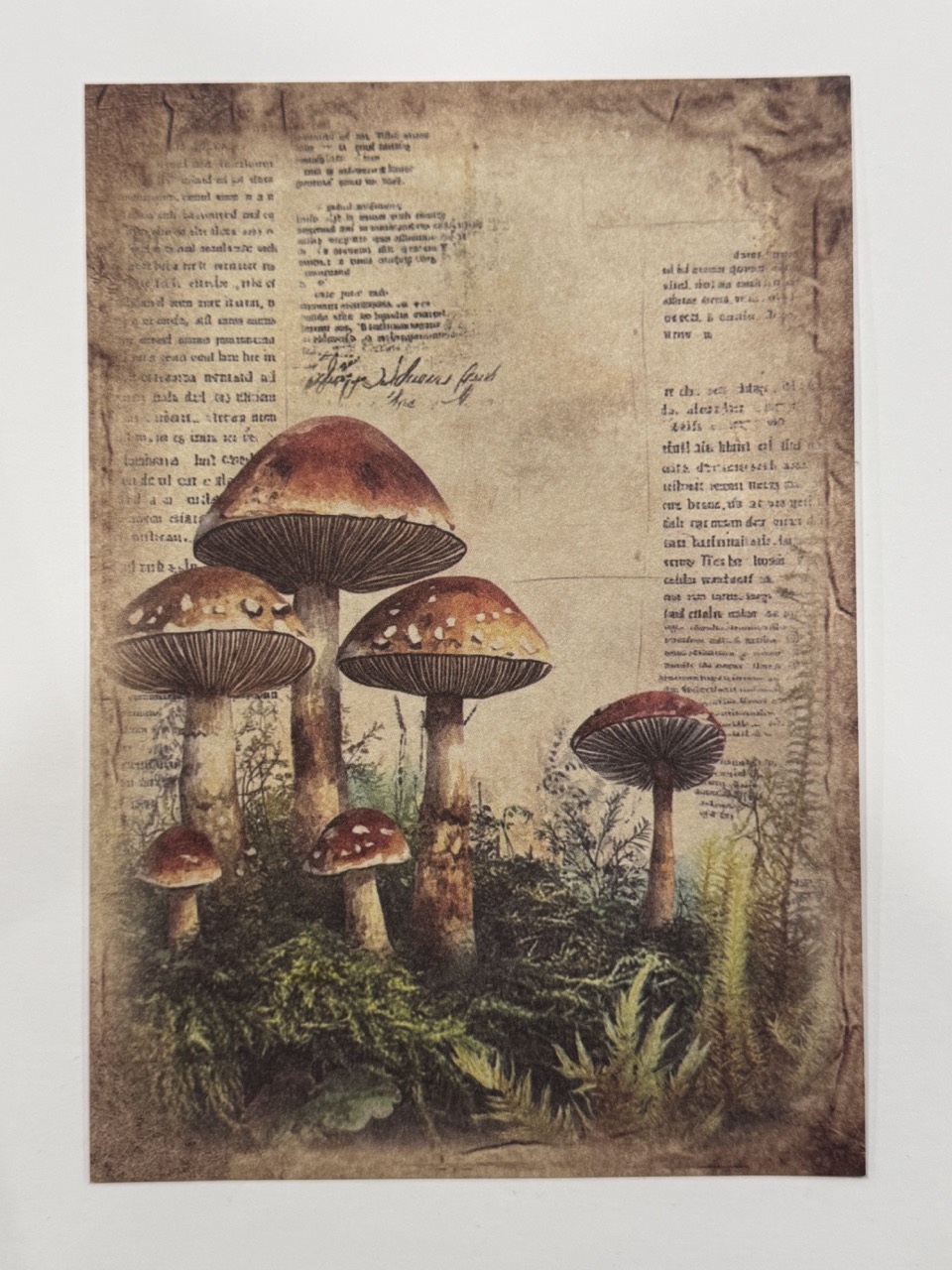 20cm x 14cm - A5 Vintage Woodland Forest Craft Papers