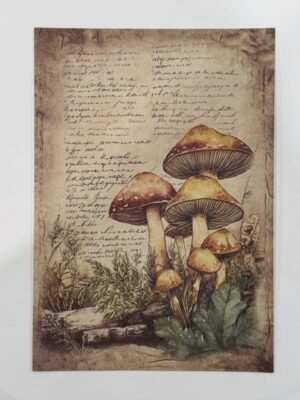 20cm x 14cm - A5 Vintage Woodland Forest Craft Papers
