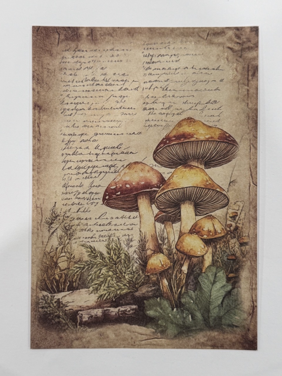 20cm x 14cm - A5 Vintage Woodland Forest Craft Papers