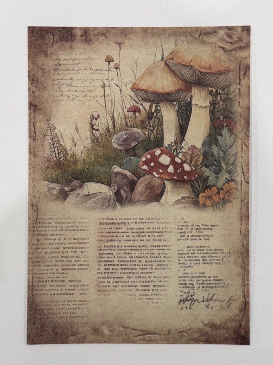 20cm x 14cm - A5 Vintage Woodland Forest Craft Papers