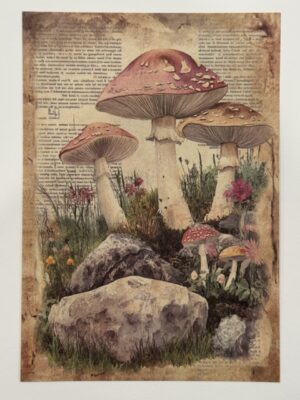 20cm x 14cm - A5 Vintage Woodland Forest Craft Papers