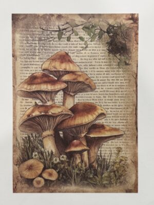 20cm x 14cm - A5 Vintage Woodland Forest Craft Papers