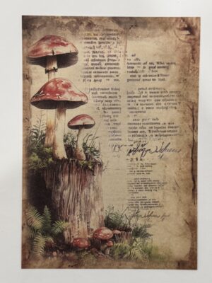 20cm x 14cm - A5 Vintage Woodland Forest Craft Papers
