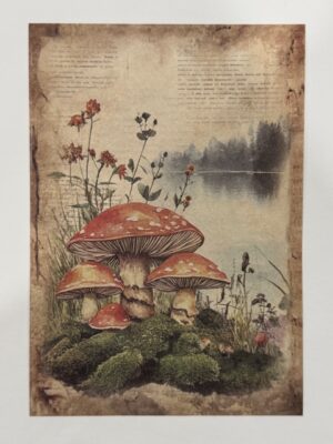 20cm x 14cm - A5 Vintage Woodland Forest Craft Papers