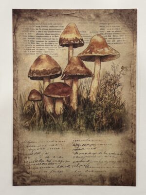 20cm x 14cm - A5 Vintage Woodland Forest Craft Papers