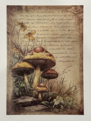 20cm x 14cm - A5 Vintage Woodland Forest Craft Papers