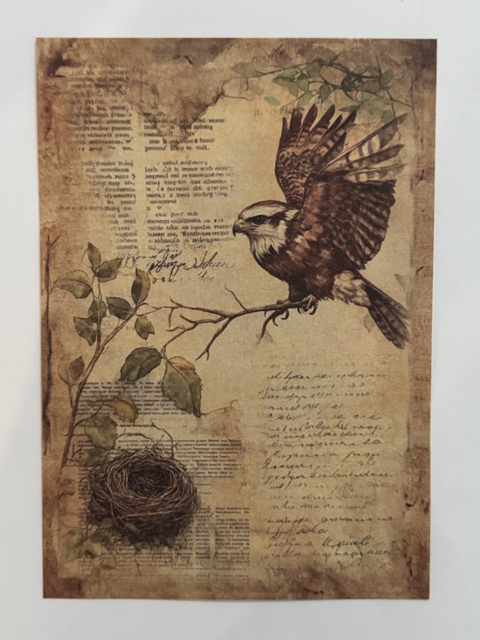 20cm x 14cm - A5 Vintage Woodland Forest Craft Papers