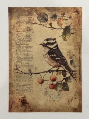 20cm x 14cm - A5 Vintage Woodland Forest Craft Papers