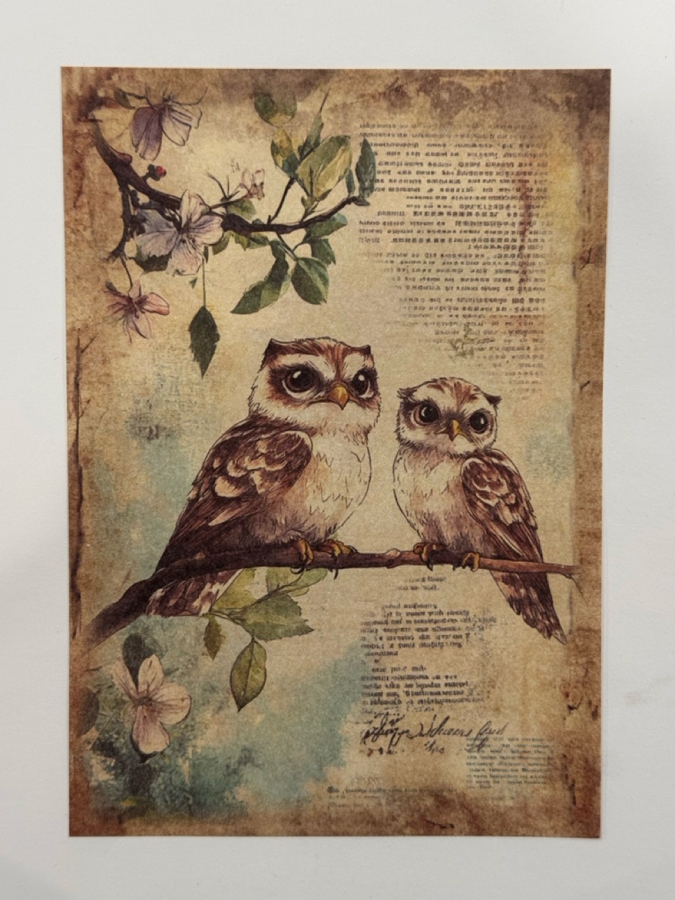 20cm x 14cm - A5 Vintage Woodland Forest Craft Papers
