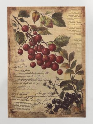 20cm x 14cm - A5 Vintage Woodland Forest Craft Papers