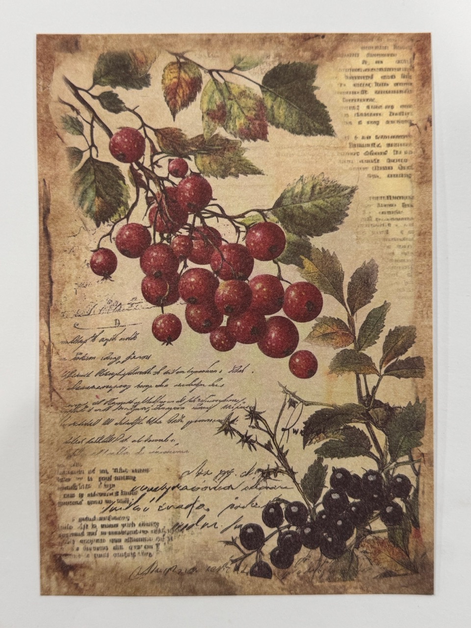 20cm x 14cm - A5 Vintage Woodland Forest Craft Papers