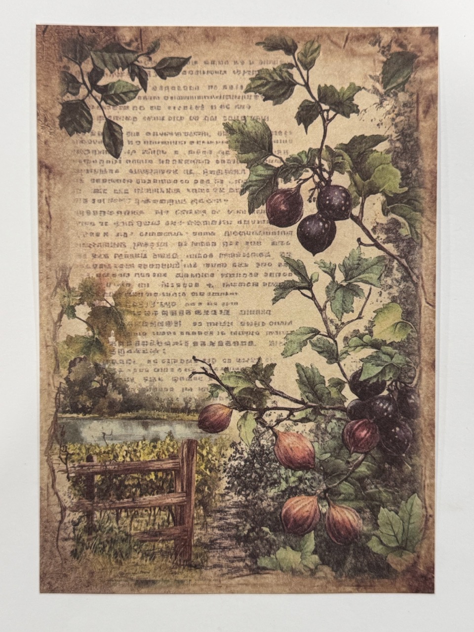 20cm x 14cm - A5 Vintage Woodland Forest Craft Papers