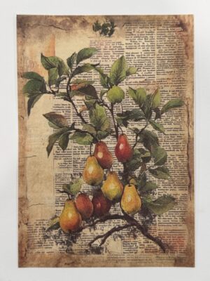 20cm x 14cm - A5 Vintage Woodland Forest Craft Papers