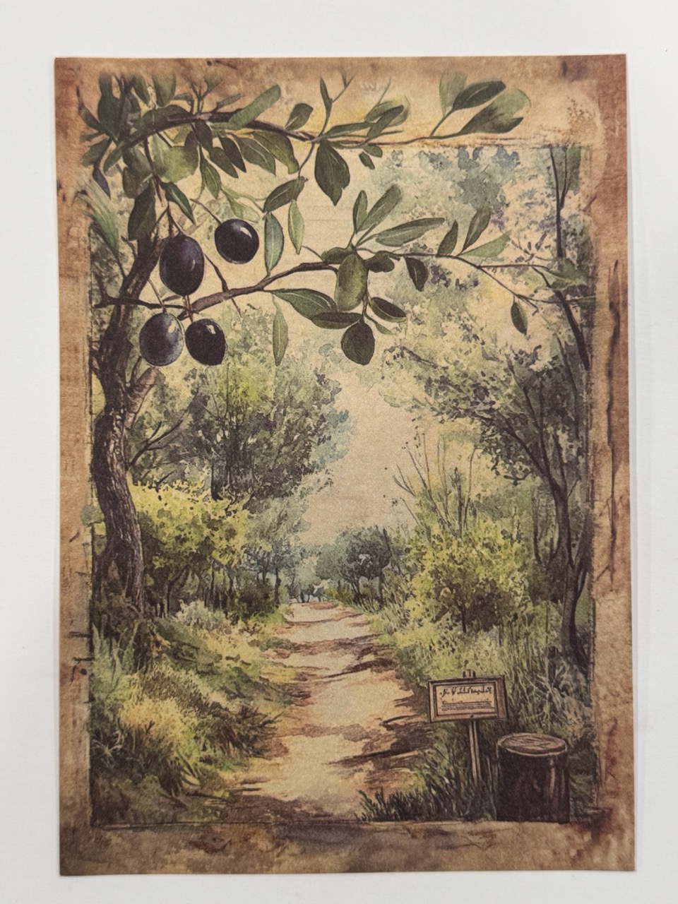 20cm x 14cm - A5 Vintage Woodland Forest Craft Papers