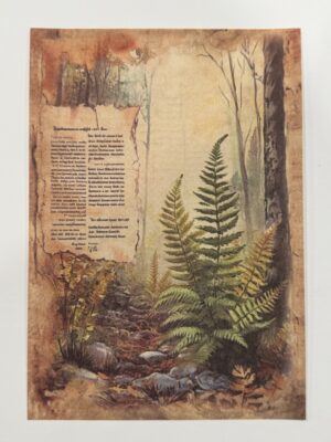 20cm x 14cm - A5 Vintage Woodland Forest Craft Papers