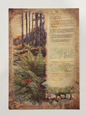 20cm x 14cm - A5 Vintage Woodland Forest Craft Papers