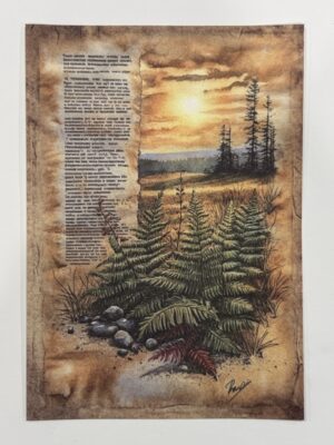 20cm x 14cm - A5 Vintage Woodland Forest Craft Papers